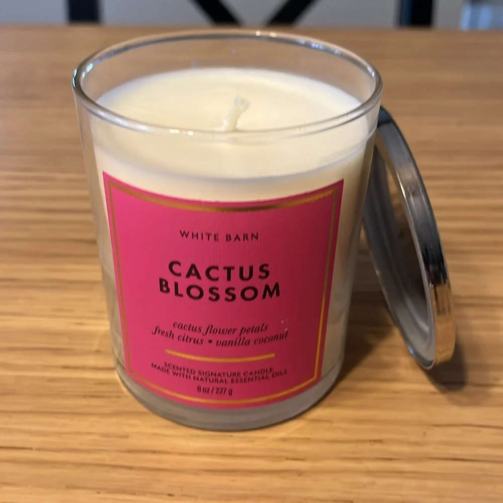 Bath & Body Works Single Wick Candle. Cactus Blossom.